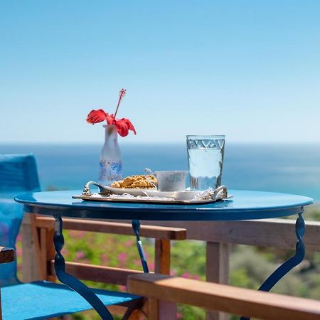 Anthia Apartment Sea View Káto Zákros Zewnętrze zdjęcie